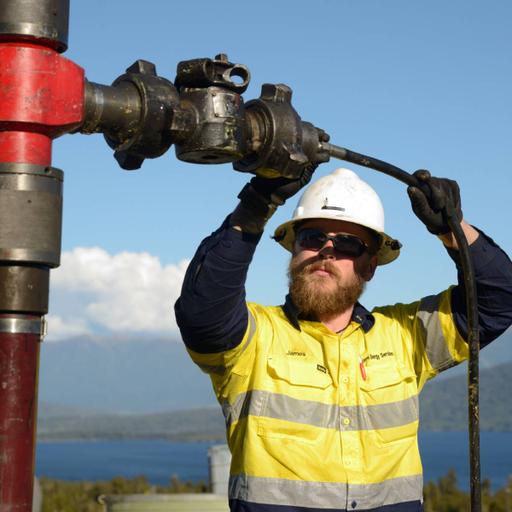 Picture of the product