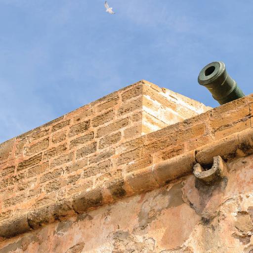 Picture of the product