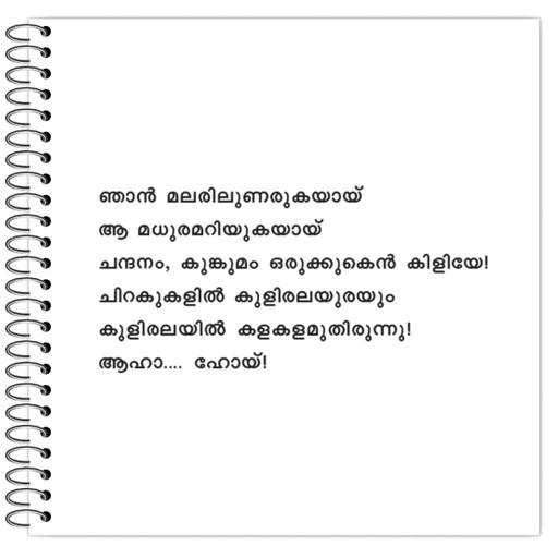 Picture of the product