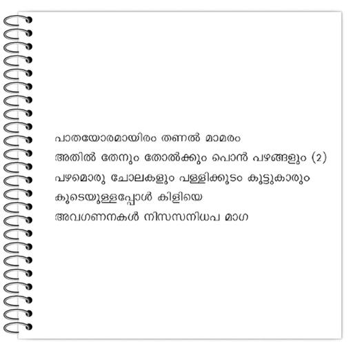 Picture of the product