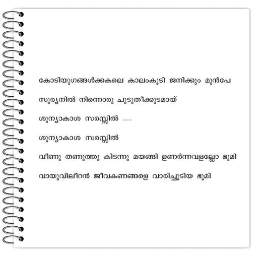 Picture of the product