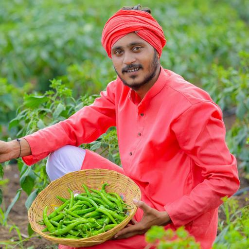 Picture of the product