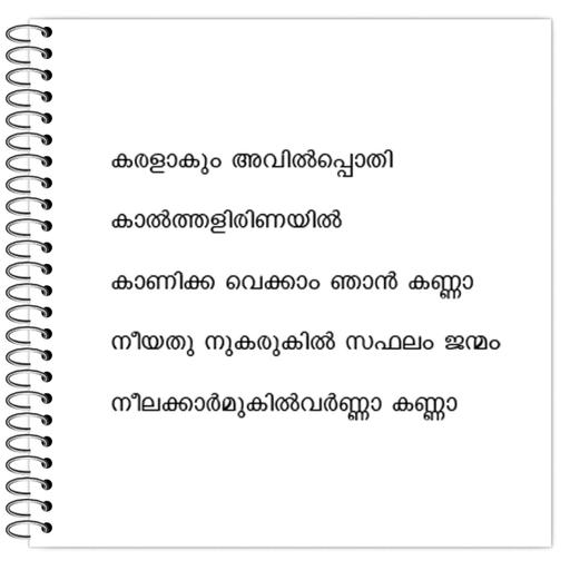 Picture of the product