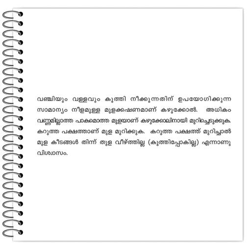 Picture of the product