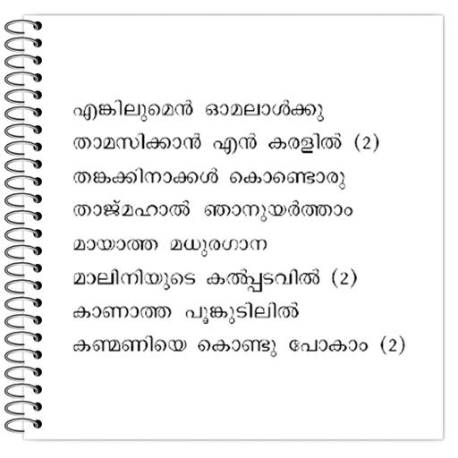 Picture of the product