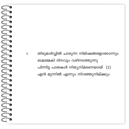 Picture of the product