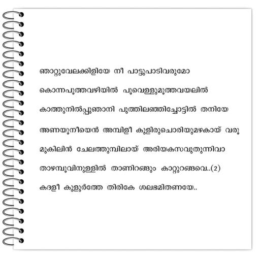 Picture of the product