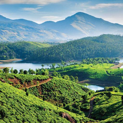 Picture of the product