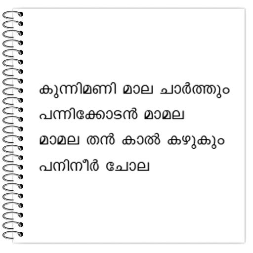 Picture of the product