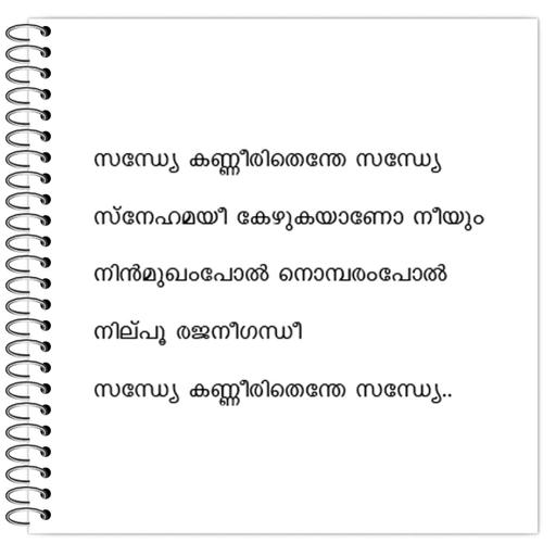 Picture of the product