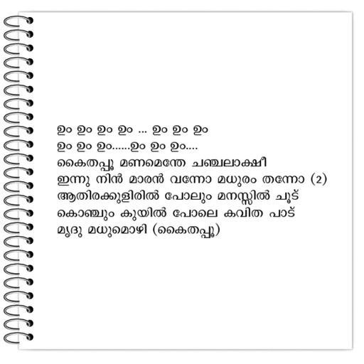 Picture of the product