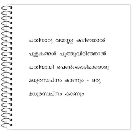 Picture of the product