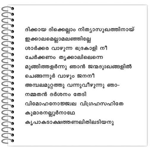 Picture of the product