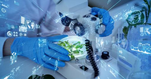 Picture of the category