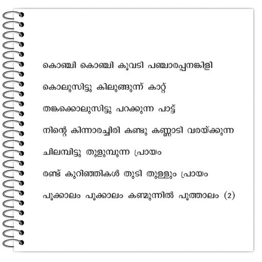 Picture of the product