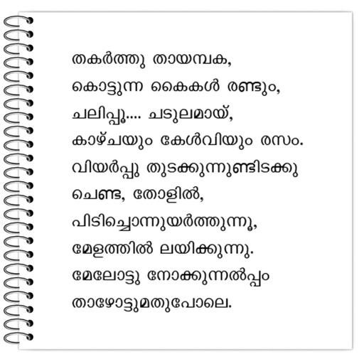 Picture of the product