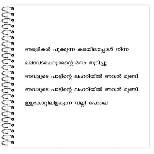 Picture of the product