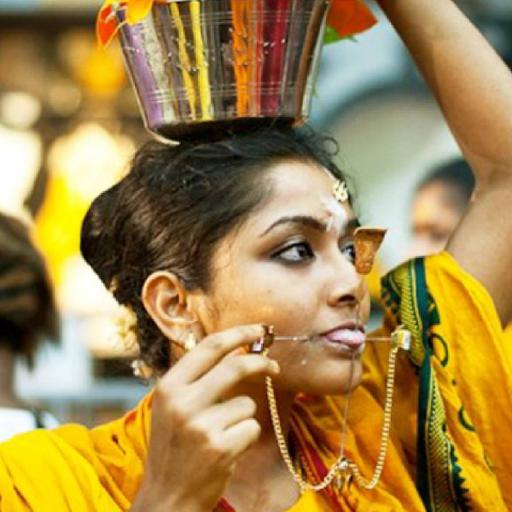 Picture of the product