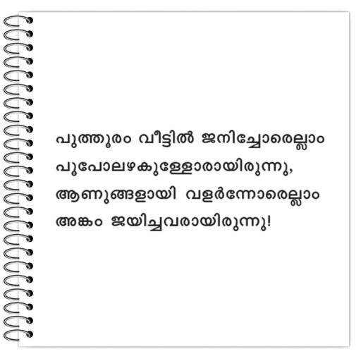 Picture of the product