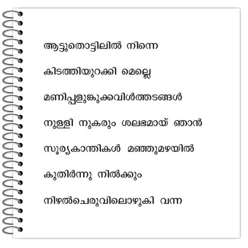 Picture of the product