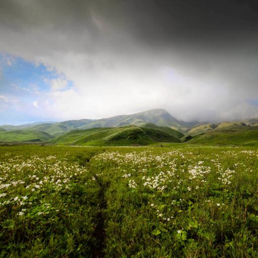 Picture of the product