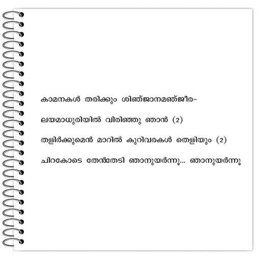 Picture of the product