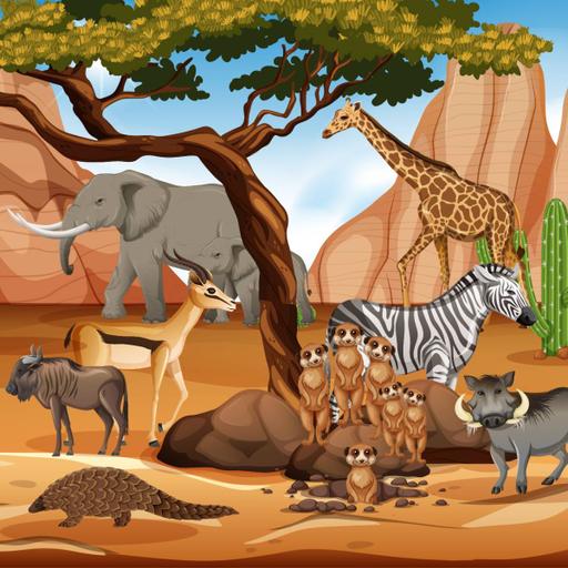 Picture of the product