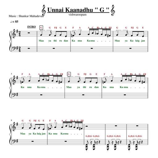 Picture of the product