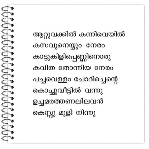 Picture of the product