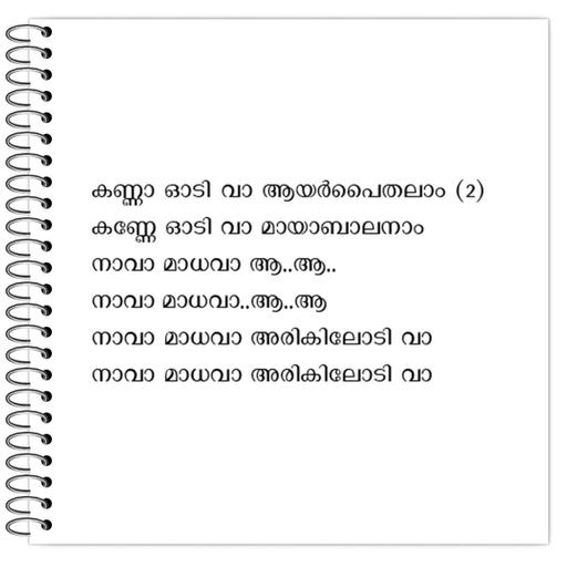 Picture of the product