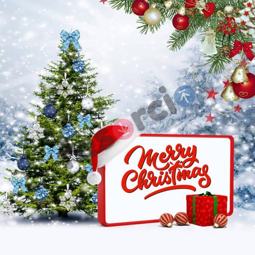 Picture of the product