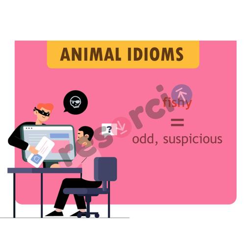 Picture of the product