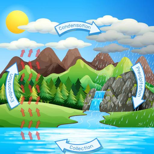 Picture of the product