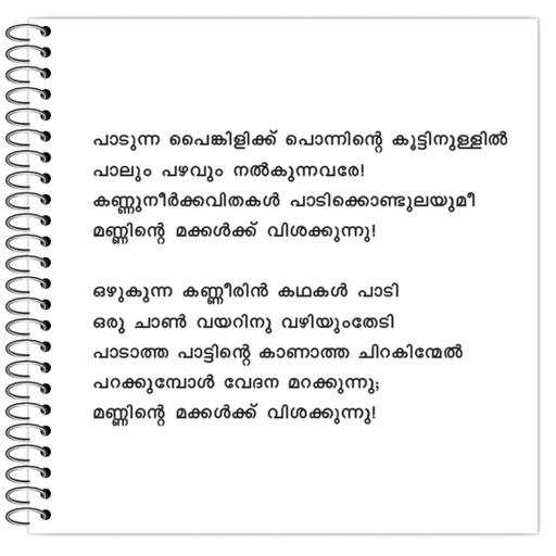 Picture of the product