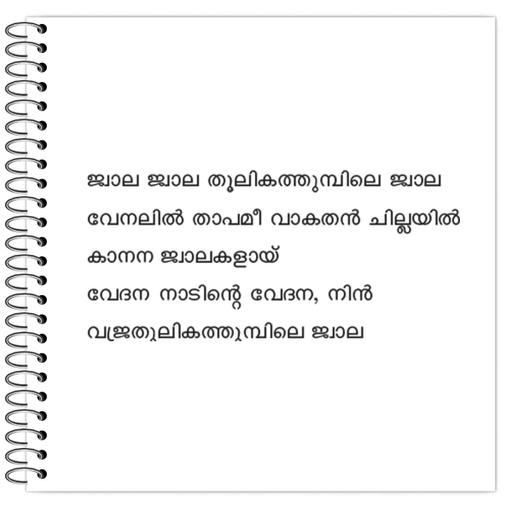 Picture of the product