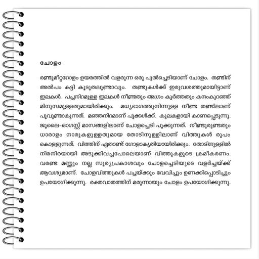 Picture of the product