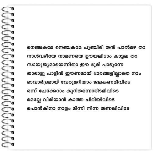 Picture of the product