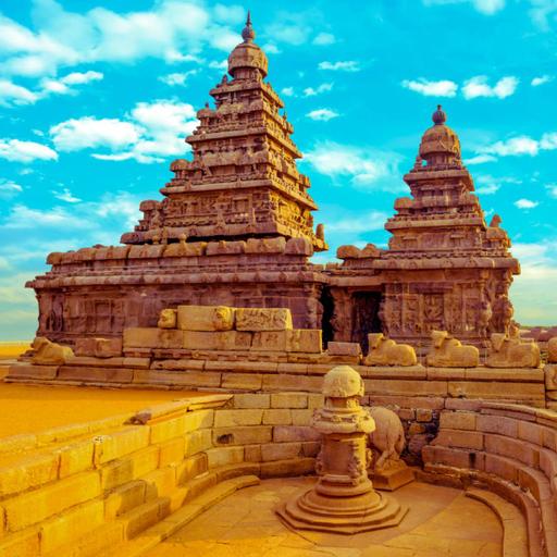 Picture of the product