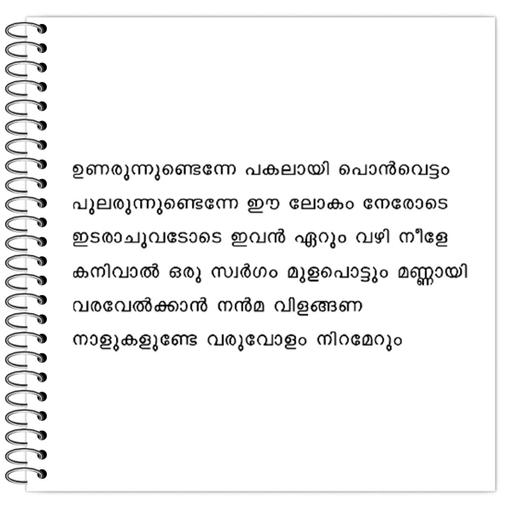 Picture of the product