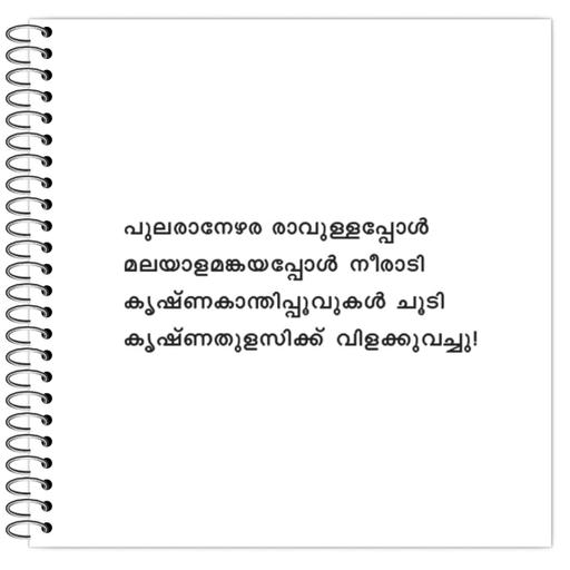 Picture of the product