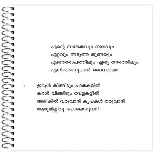 Picture of the product