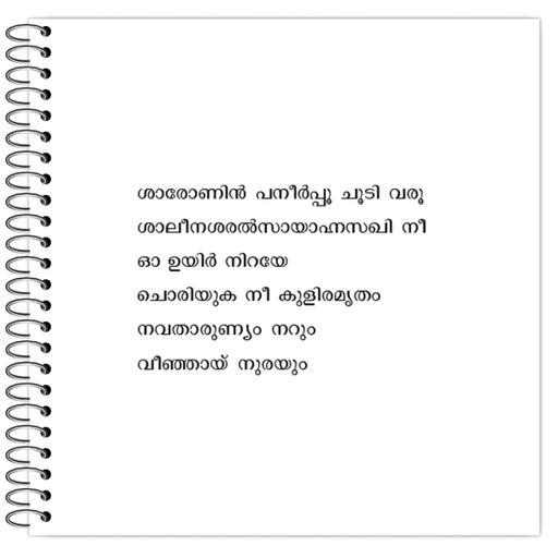 Picture of the product