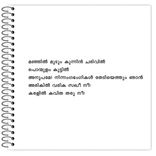 Picture of the product