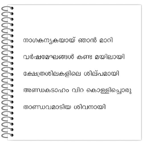 Picture of the product