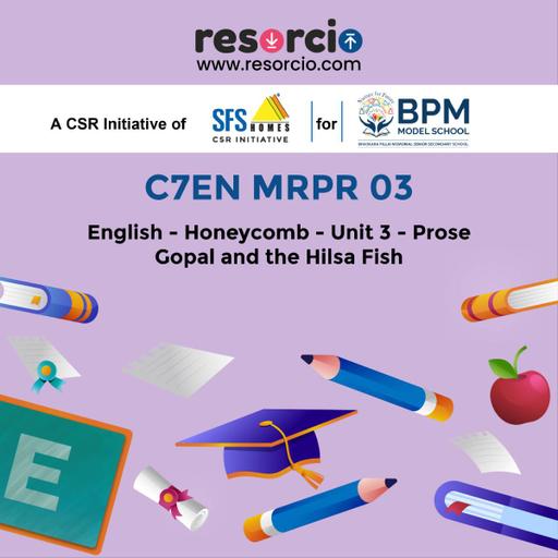 Picture of the product