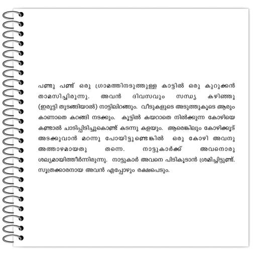 Picture of the product