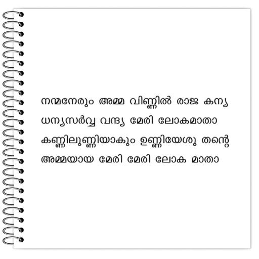 Picture of the product