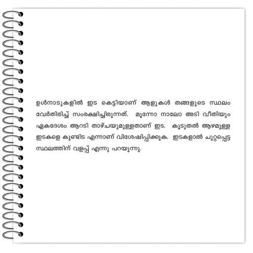 Picture of the product