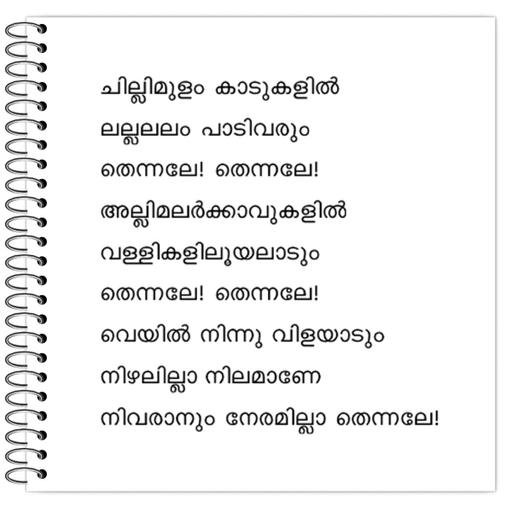 Picture of the product