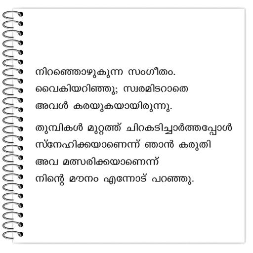 Picture of the product